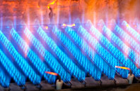 Trentlock gas fired boilers